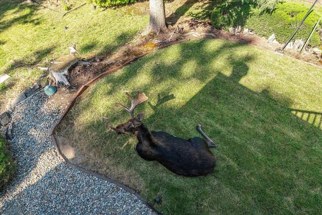 3105 W 20th Ave, Spokane, WA 99224