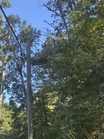 Lot 5 Roberts Ridge Road, Ellijay, GA 30540