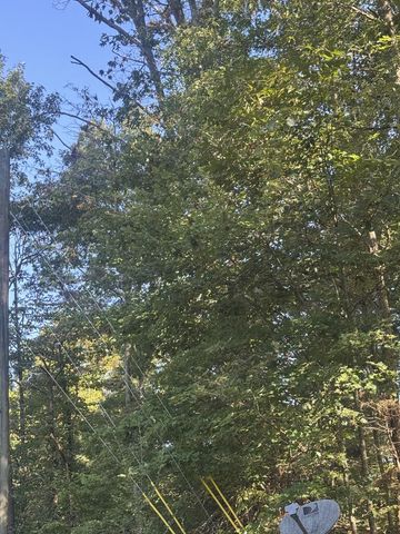 Lot 5 Roberts Ridge Road, Ellijay, GA 30540