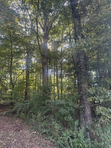 Lot 5 Roberts Ridge Road, Ellijay, GA 30540