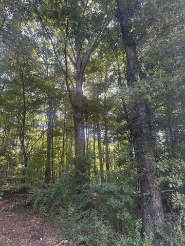 Lot 5 Roberts Ridge Road, Ellijay, GA 30540