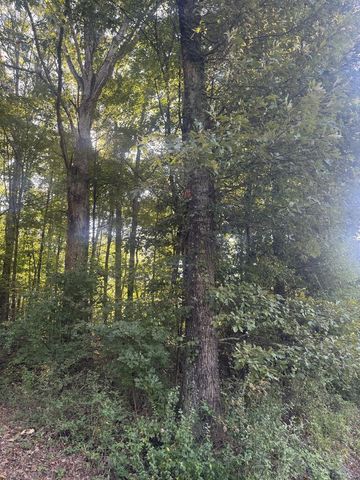Lot 5 Roberts Ridge Road, Ellijay, GA 30540