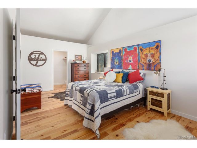 1505 Pitchfork Rd, Hartsel, CO 80449