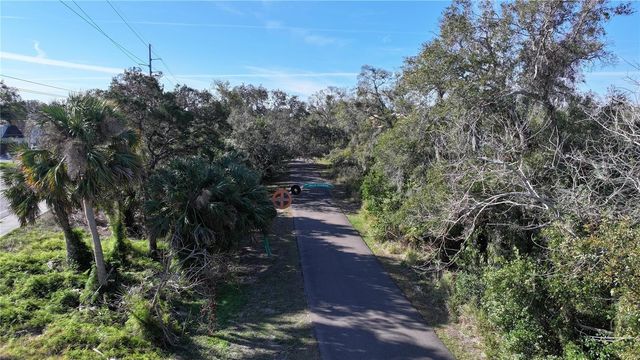 1460 RIBOLLA DRIVE, Palm Harbor, FL 34683