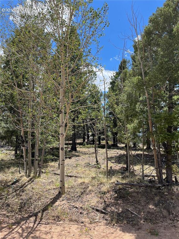 506 Castle Mountain Drive, Guffey, CO 80820 — exterior