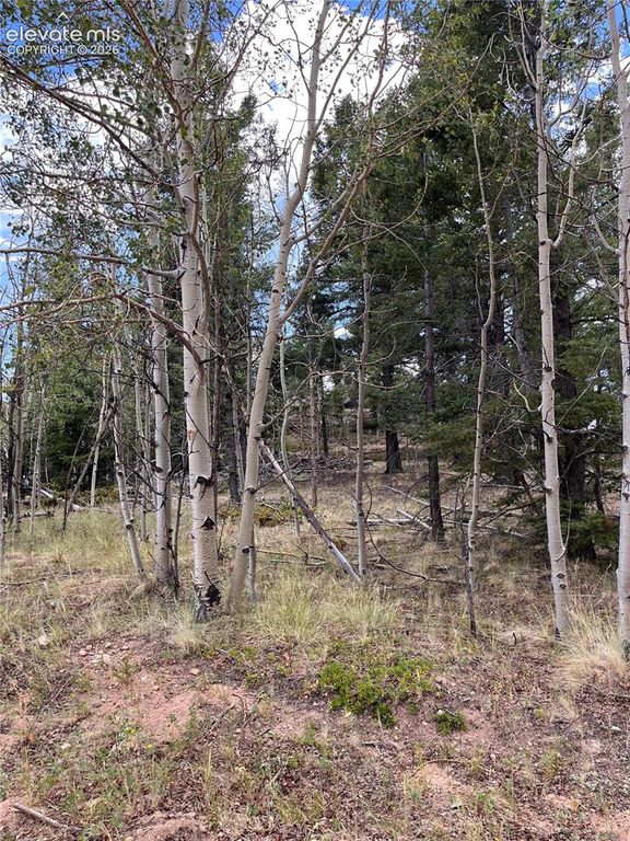 506 Castle Mountain Drive, Guffey, CO 80820 — photo 4