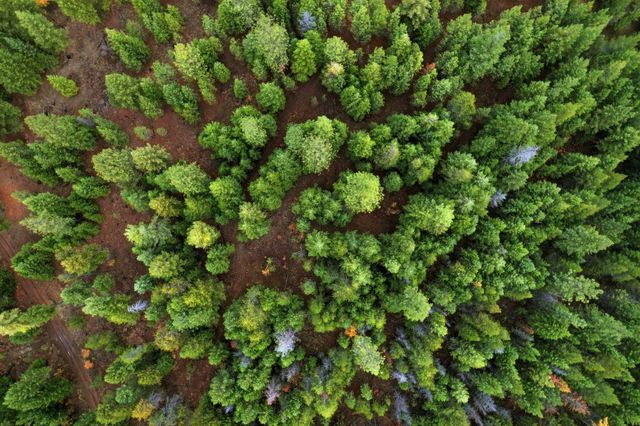 48094.9045 000 Unknown Rd, Spokane, WA 99003