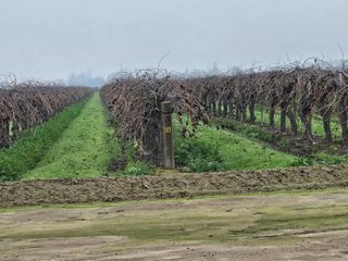 200 S Hayes Avenue, Fresno, CA 93723