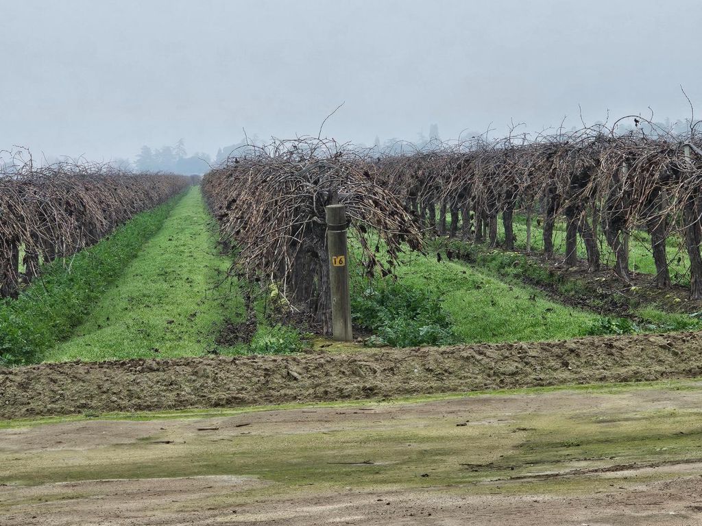 Image 1 of property listing at 200 S Hayes Avenue, Fresno, CA 93723