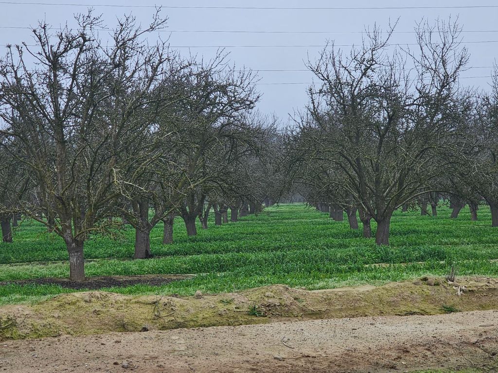 Image 2 of property listing at 200 S Hayes Avenue, Fresno, CA 93723