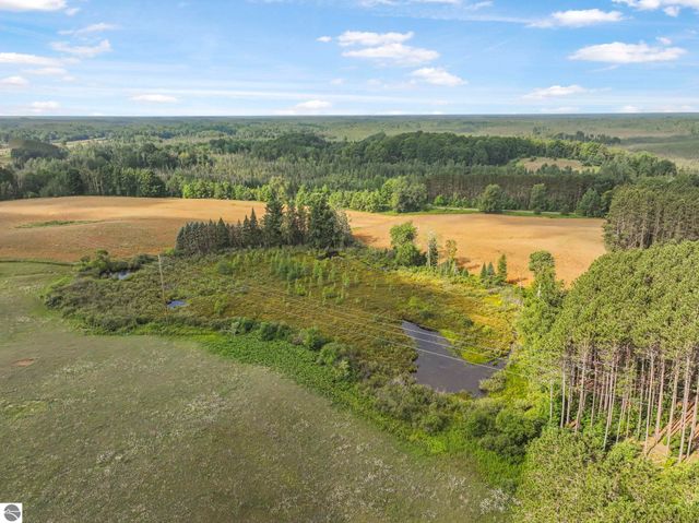 11470 S 39 Road, Cadillac, MI 49601