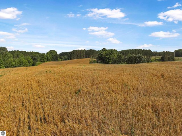 11470 S 39 Road, Cadillac, MI 49601