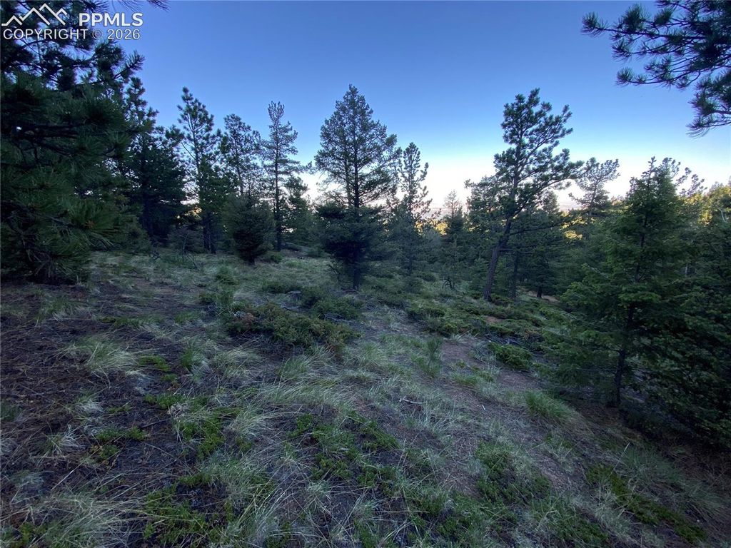 285 Forest Road, Manitou Springs, CO 80829 — exterior