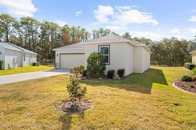 9316 Gentle Ben Court, Spring Hill, FL 34613