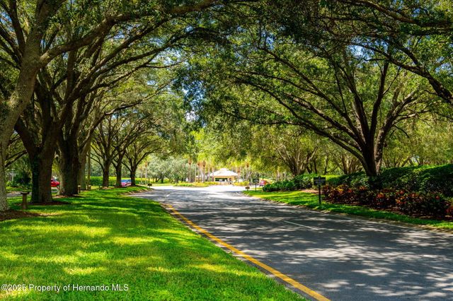 9316 Gentle Ben Court, Spring Hill, FL 34613