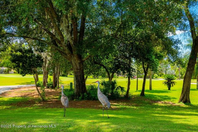 9316 Gentle Ben Court, Spring Hill, FL 34613