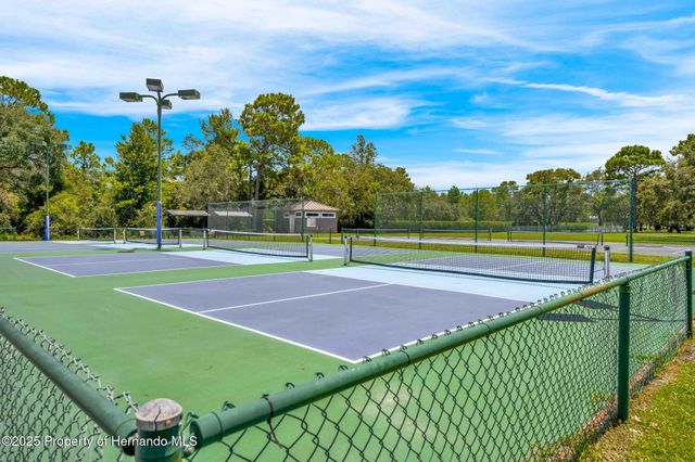 9316 Gentle Ben Court, Spring Hill, FL 34613