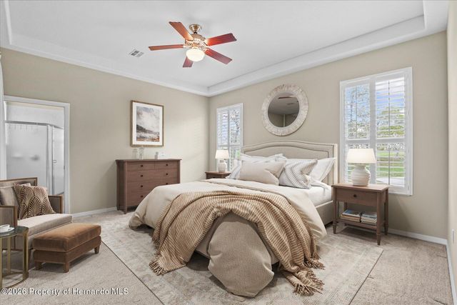 9037 Penelope Drive, Spring Hill, FL 34613