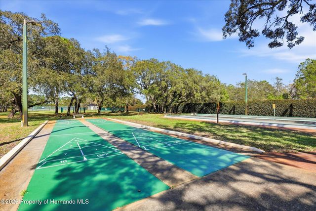 9037 Penelope Drive, Spring Hill, FL 34613