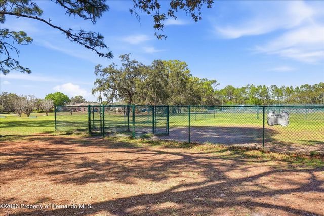 9037 Penelope Drive, Spring Hill, FL 34613