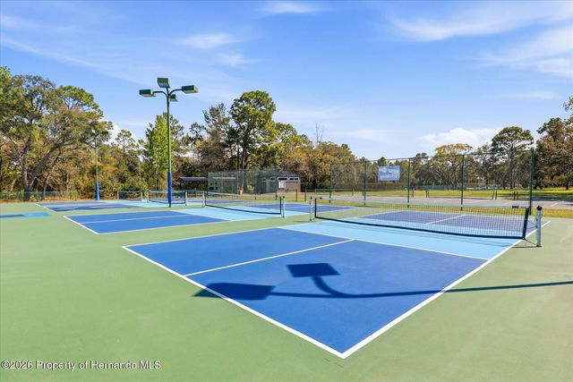 9037 Penelope Drive, Spring Hill, FL 34613