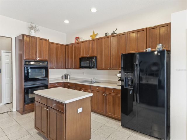 22548 CLIFFSIDE WAY, Land O Lakes, FL 34639