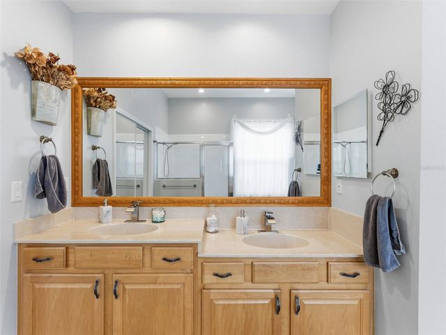 22548 CLIFFSIDE WAY, Land O Lakes, FL 34639