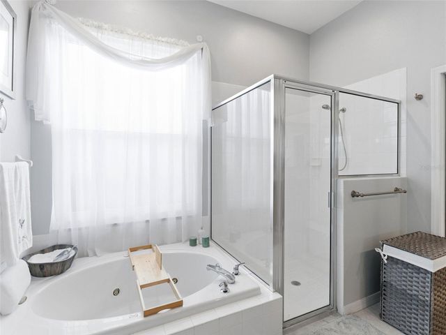 22548 CLIFFSIDE WAY, Land O Lakes, FL 34639