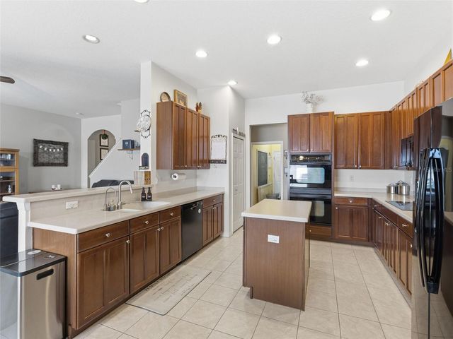 22548 CLIFFSIDE WAY, Land O Lakes, FL 34639