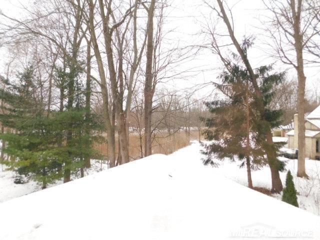 48515 Hidden Oaks Lane, Shelby Twp, MI 48317