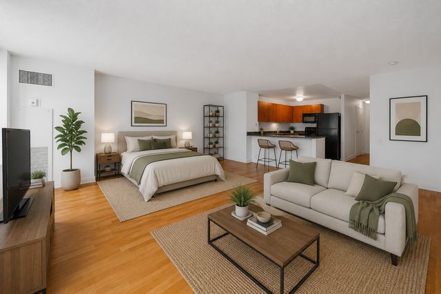 474 N Lake Shore Drive 2007, Chicago, IL 60611