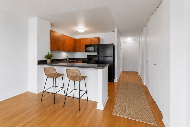 474 N Lake Shore Drive 2007, Chicago, IL 60611