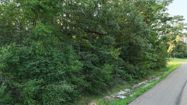 TBD Laurel, Onalaska, TX 77360