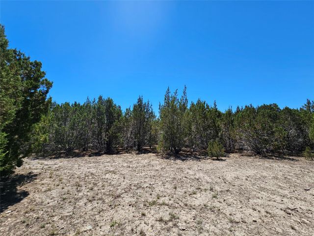 Lot 25 Alta Vista DR, Lampasas, TX 76550
