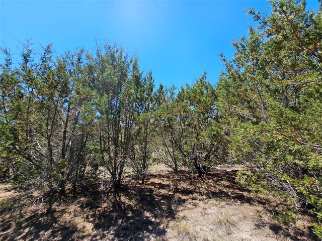 Lot 25 Alta Vista DR, Lampasas, TX 76550