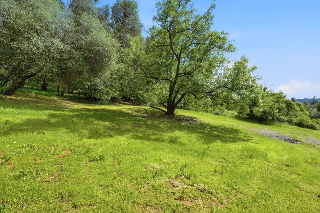 1730 Larelyn Ln, Shingle Springs, CA 95682