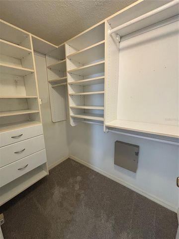 624 BLACK LION DRIVE NE, St Petersburg, FL 33716