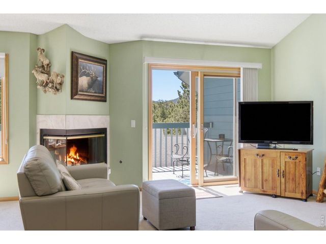 1861 Raven Ave B2, Estes Park, CO 80517
