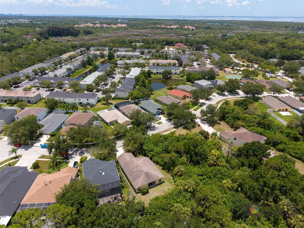 Image 57 of property listing at 12415 RUSTIC VIEW COURT, Tampa, FL 33635