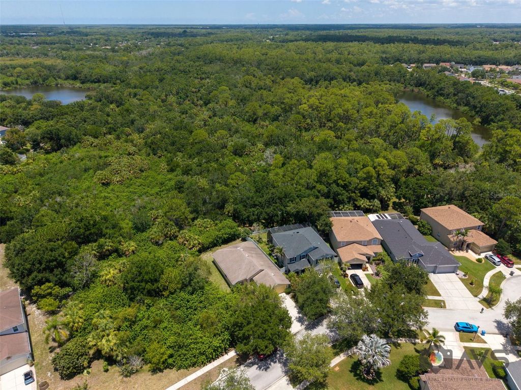 Image 59 of property listing at 12415 RUSTIC VIEW COURT, Tampa, FL 33635