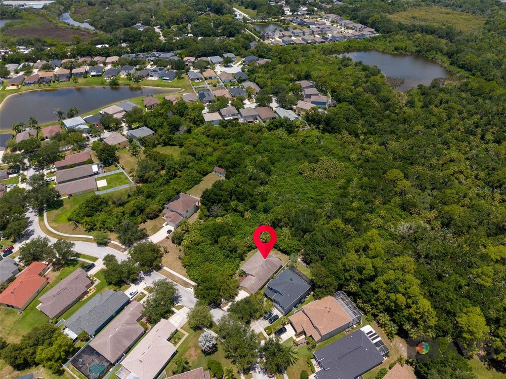 Image 62 of property listing at 12415 RUSTIC VIEW COURT, Tampa, FL 33635
