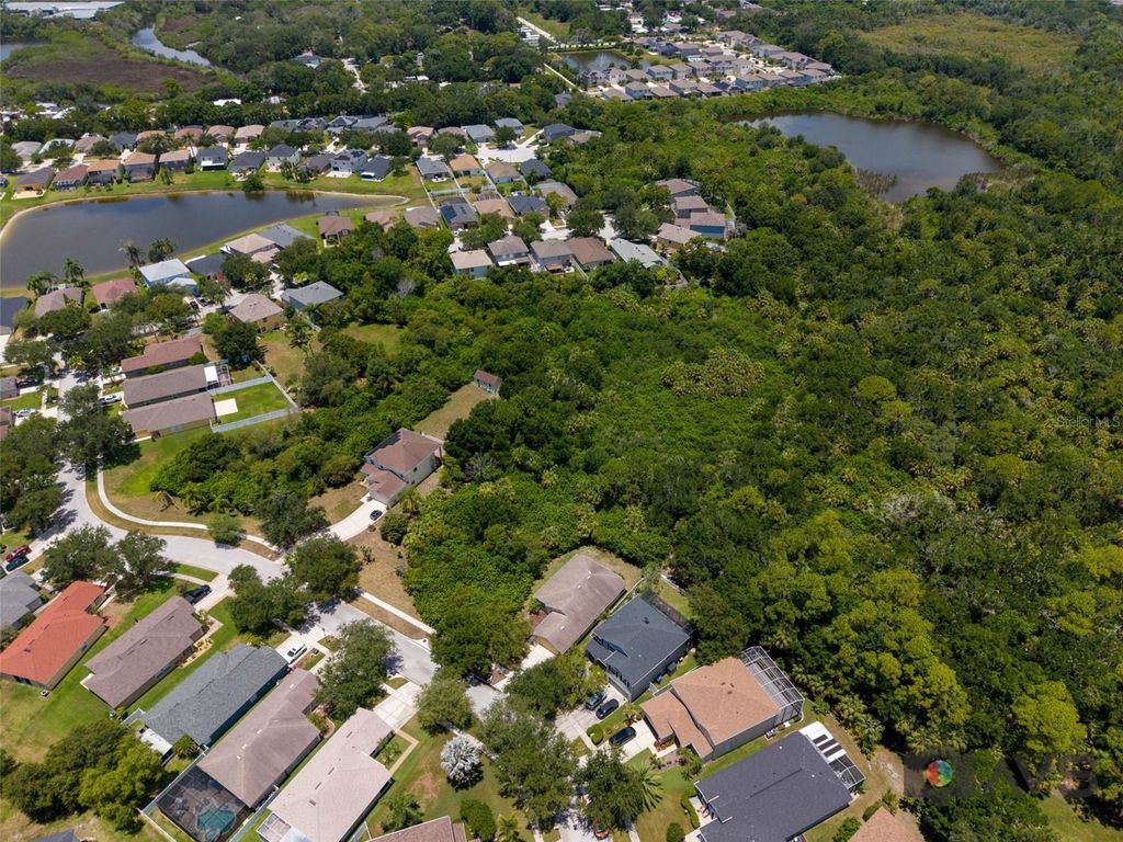 Image 63 of property listing at 12415 RUSTIC VIEW COURT, Tampa, FL 33635