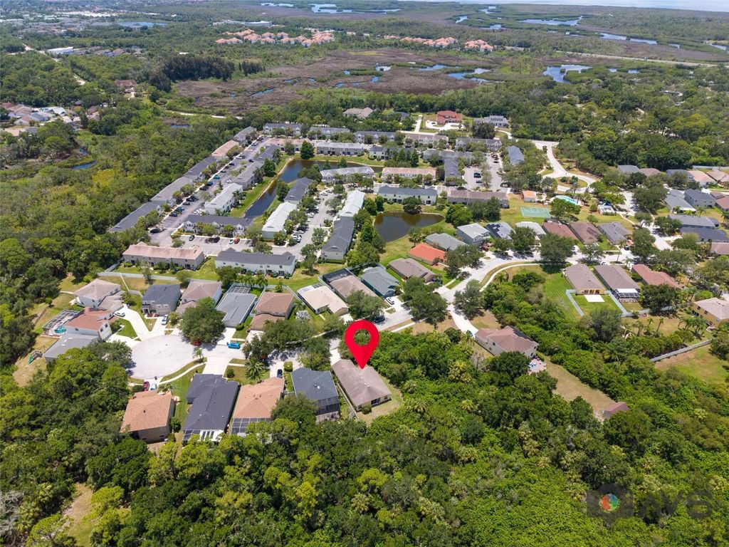 Image 66 of property listing at 12415 RUSTIC VIEW COURT, Tampa, FL 33635