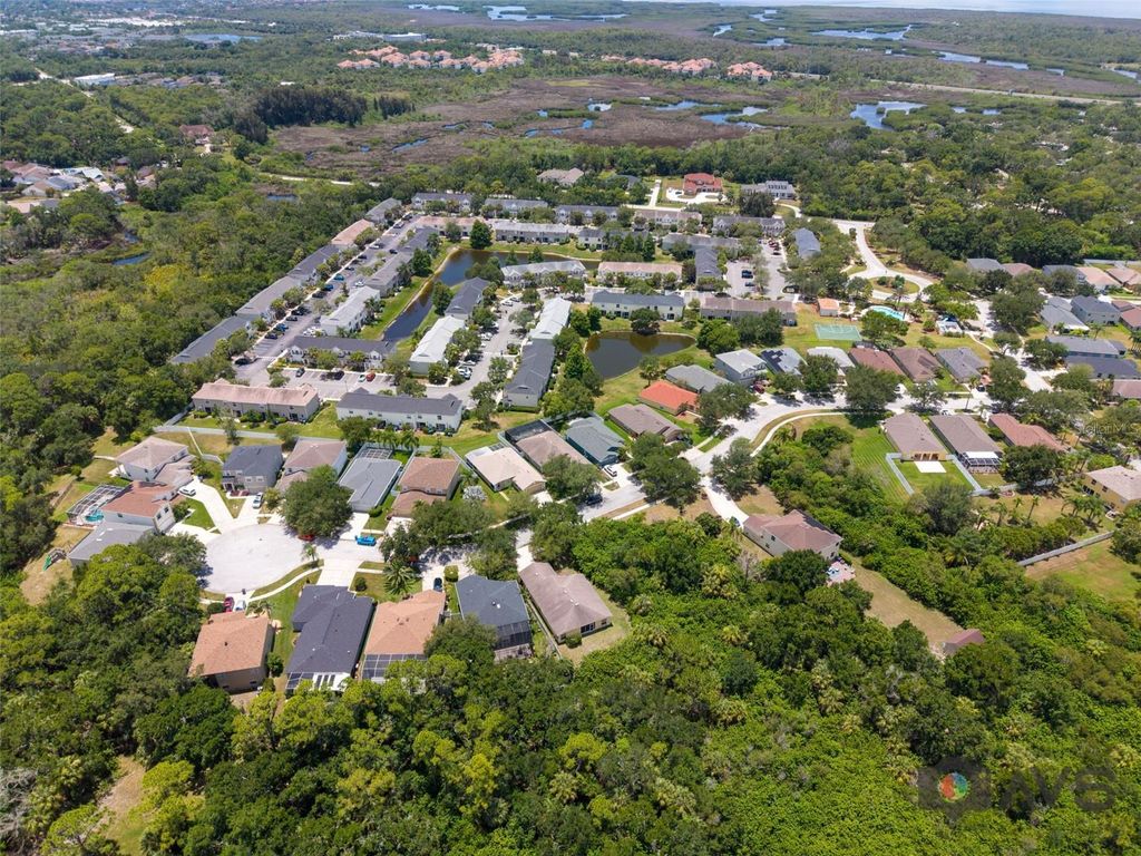 Image 67 of property listing at 12415 RUSTIC VIEW COURT, Tampa, FL 33635