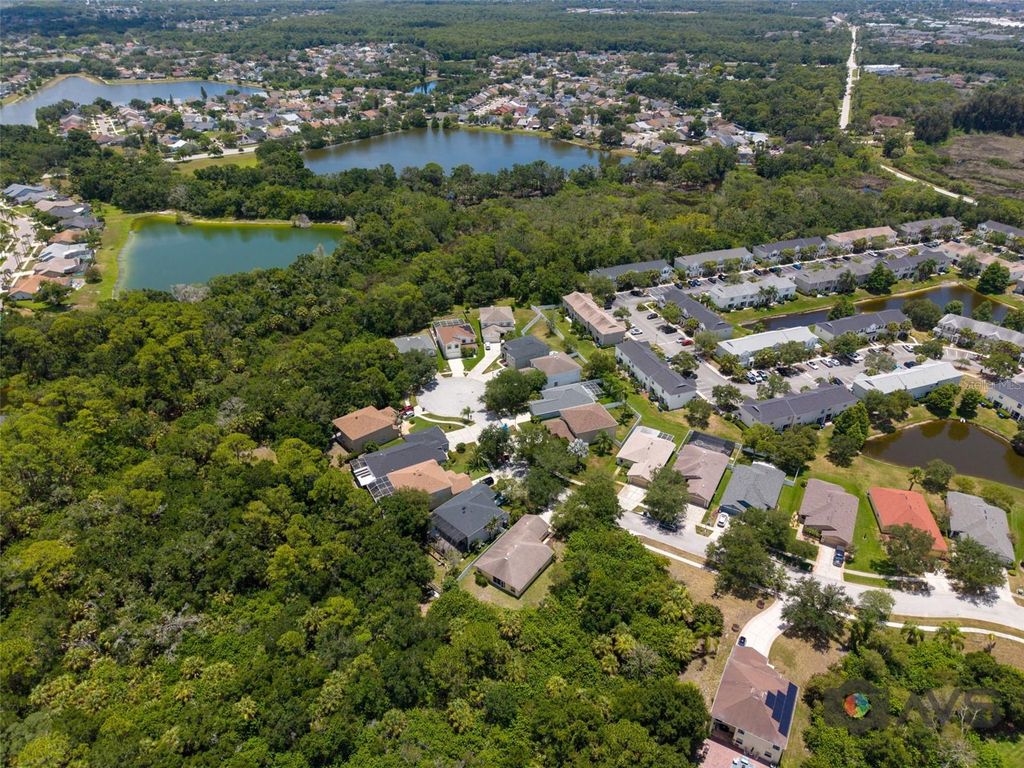 Image 69 of property listing at 12415 RUSTIC VIEW COURT, Tampa, FL 33635