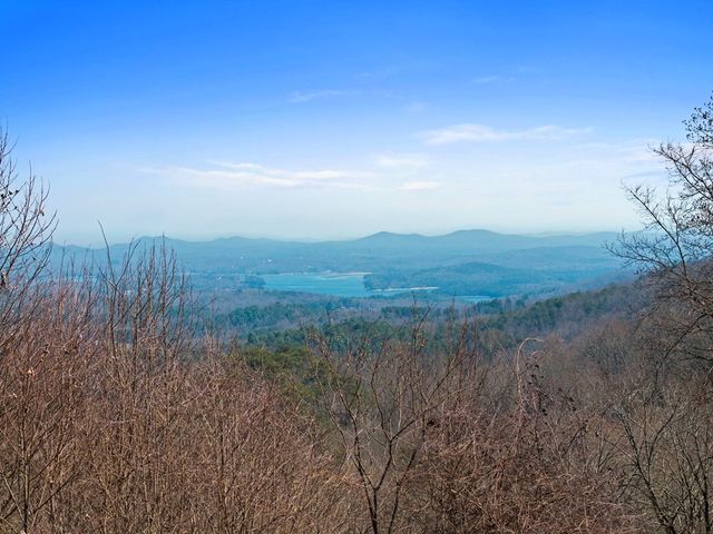 304 Ridge Circle, Blue Ridge, GA 30513