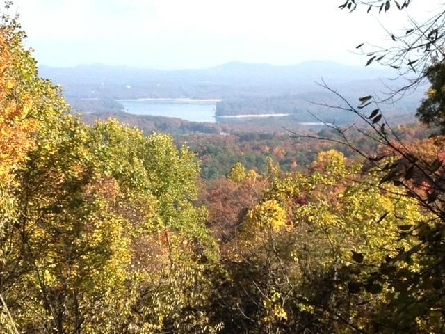 304 Ridge Circle, Blue Ridge, GA 30513