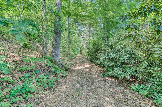 2446 DEER RUN RD, Ferrum, VA 24088