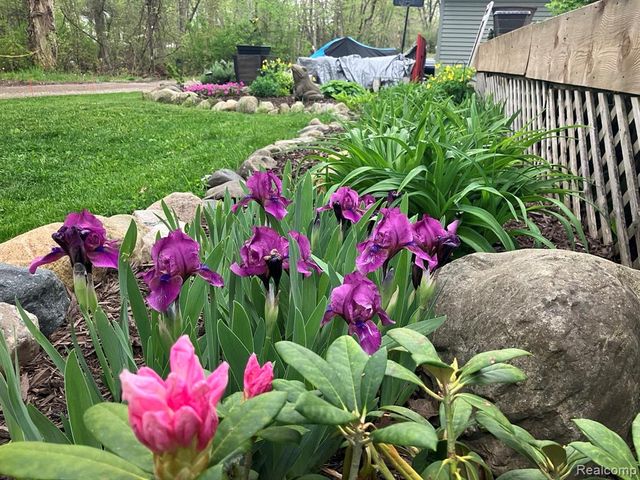 276 Bramble Brae Street, White Lake, MI 48386