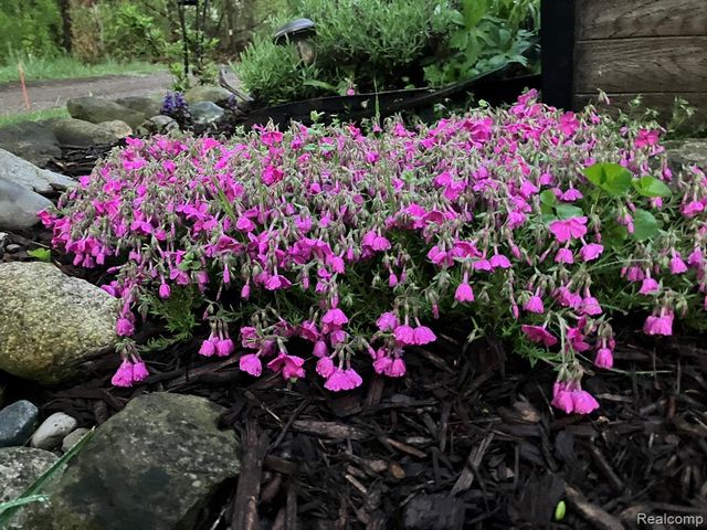 276 Bramble Brae Street, White Lake, MI 48386